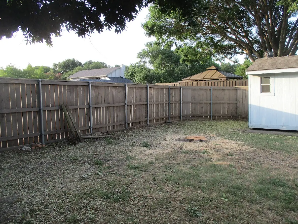 Cleared yard after professional tree removal in Sweet Water